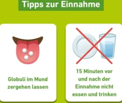 Rhus Toxicodendron D 12 Globuli Pflüger Globulispender 10 g