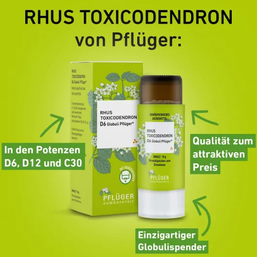 Rhus Toxicodendron D 12 Globuli Pflüger Globulispender 10 g