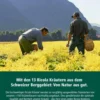 Ricola Menthol Extra Stark Ohne Zucker 75 G Bonbons