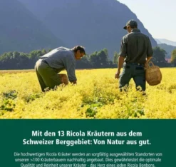 Ricola Mit Zucker Kräuter Bonbons 75 G