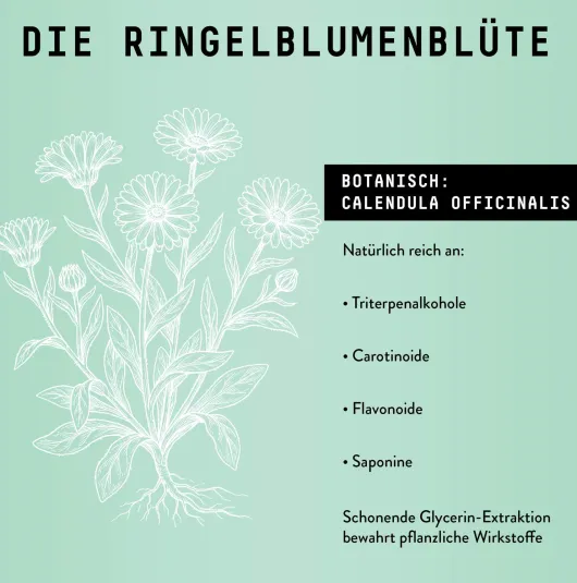 Ringelblume Extrakt Kräuter Tropfen alkoholfrei 100 ml