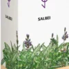 Salbei Bombastus Tee 75 G