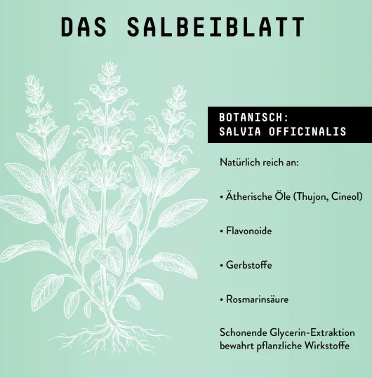 Salbei Extrakt Kräuter Tropfen alkoholfrei 100 ml