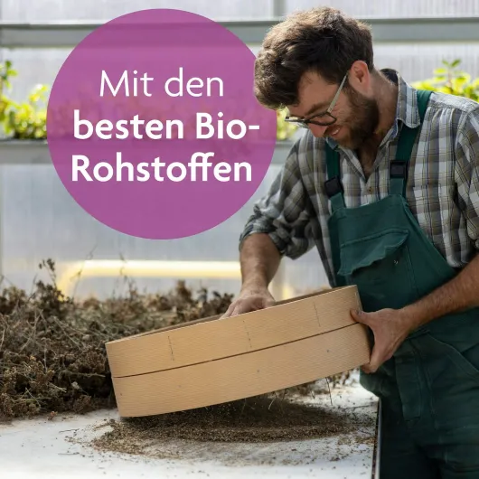 Salus Fastentee Bio Filterbeutel