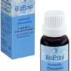 Sanddorn Fruchtfleischöl 20 ml Öl
