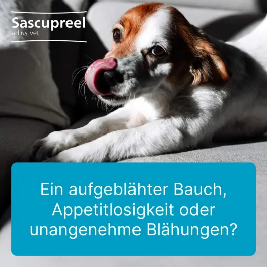 Sascupreel Ad Us.Vet. 500 Tabletten