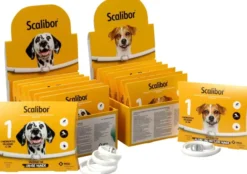 Scalibor Protectorband 48 cm Für Kleine Bis Mittlere Hunde 1...