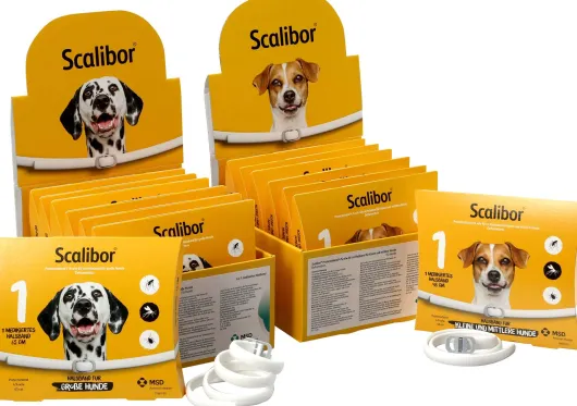 Scalibor Protectorband 48 cm Für Kleine Bis Mittlere Hunde 1...
