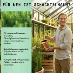 Schachtelhalm Extrakt Kräuter Tropfen alkoholfrei 100 ml