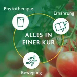 Schlankheitskur Würzige Tomate Bio Schoenenberg