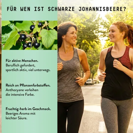 Schwarze Johannisbeere Extrakt Tropfen alkohofrei 100 ml