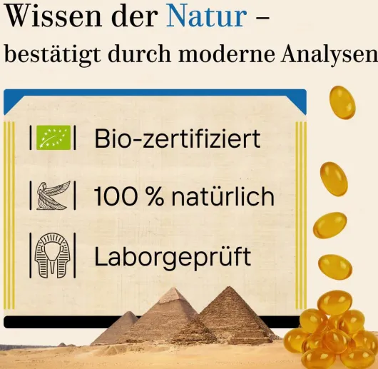 Schwarzkümmel Bio Vegan 60 Kapseln