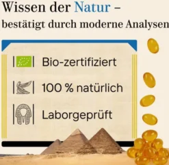 Schwarzkümmel Bio Vegan 180 Kapseln