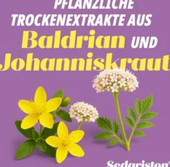 Sedariston Konzentrat 60 Kapseln