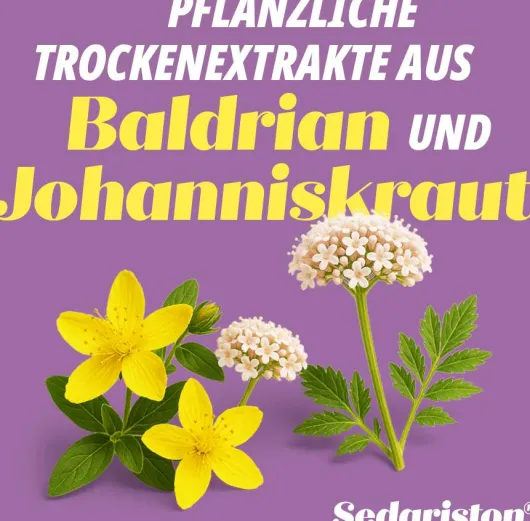 Sedariston Konzentrat 60 Kapseln