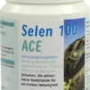 Selen 100 Ace 60 Kapseln