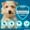 Seresto Halsband für kleine Hunde 1 Stück