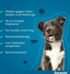 Seresto Halsband für kleine Hunde 1 Stück