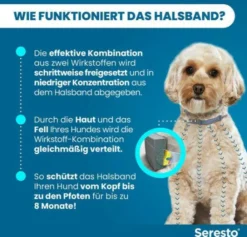 Seresto Halsband für kleine Hunde 1 Stück