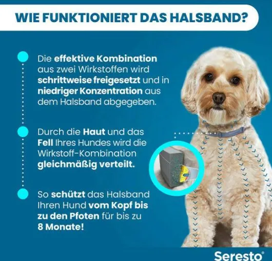 Seresto Halsband für kleine Hunde 1 Stück