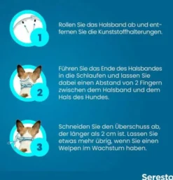 Seresto Halsband für kleine Hunde 1 Stück