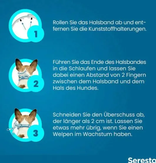 Seresto Halsband für kleine Hunde 1 Stück