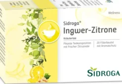 Sidroga Wellness Ingwer-Zitrone 20 Filterbeutel