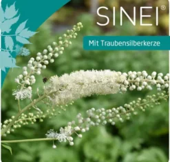 Sinei 30 Hartkapseln