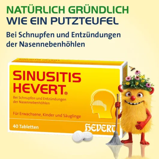 Sinusitis Hevert 100 Tabletten