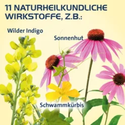 Sinusitis Hevert 100 Tabletten