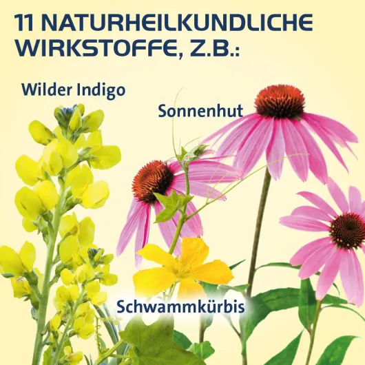 Sinusitis Hevert 100 Tabletten