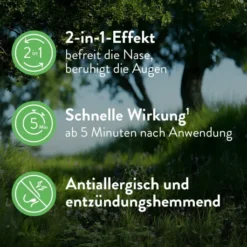 Snup Allerg Nasenspray mit Azelastin und Fluticason 2 x 23 g