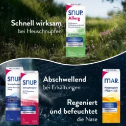 Snup Allerg Nasenspray mit Azelastin und Fluticason 2 x 23 g