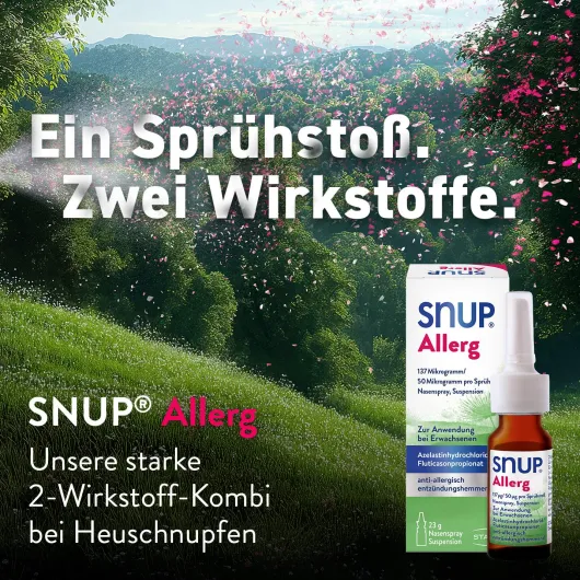 Snup Allerg Nasenspray mit Azelastin und Fluticason 2 x 23 g