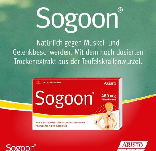 Sogoon Teufelskralle 20 Filmtabletten