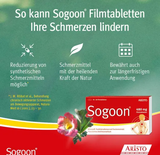 Sogoon Teufelskralle 20 Filmtabletten