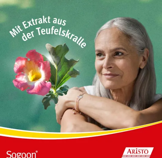Sogoon Teufelskralle 200 Filmtabletten