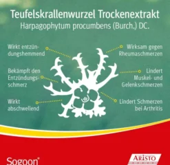 Sogoon Teufelskralle 200 Filmtabletten