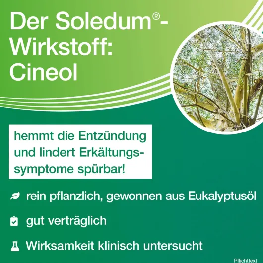 Soledum Balsam Flüssig 50 ml