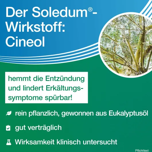 Soledum Kapseln forte 20 magensaftresistente Kapseln