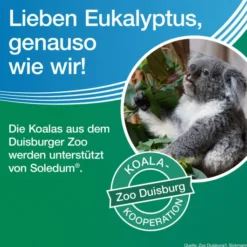 Soledum Kapseln forte 20 magensaftresistente Kapseln