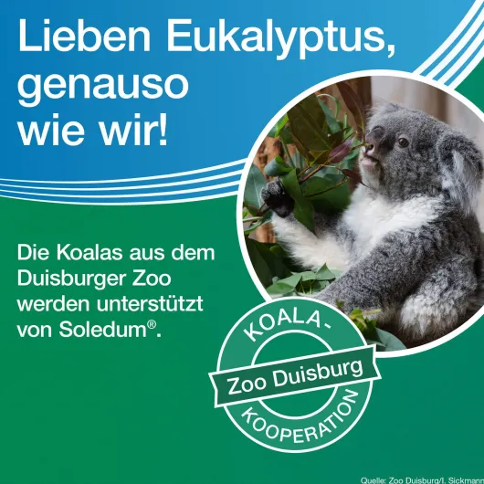 Soledum Kapseln forte 20 magensaftresistente Kapseln