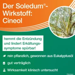 Soledum Kapseln Junior 100 mg 20 magensaftresistente Kapseln