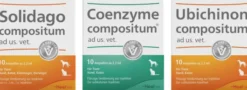 Solidago Compositum ad us.vet 10 Stk. + Ubichinon Compositum ad us.vet. 10 Stk. + Coenzym Compositum ad us.vet. 10 Stk.