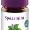Spearmint Öl Bio