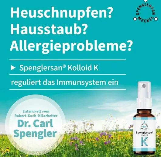 Spenglersan Kolloid K 10 ml Einreibung