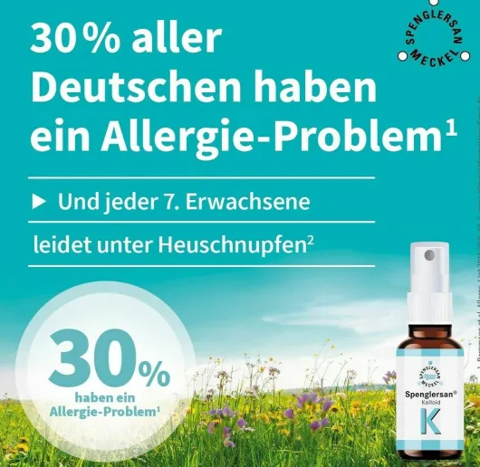 Spenglersan Kolloid K 10 ml Einreibung