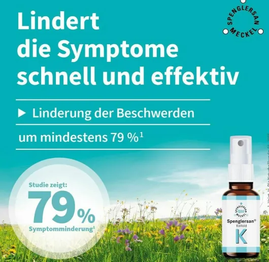 Spenglersan Kolloid K 10 ml Einreibung
