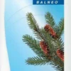 Spitzner Balneo Fichtennadel Ölbad 1000 ml