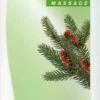Spitzner Massage Einreibung Fichtennadel 1000 ml